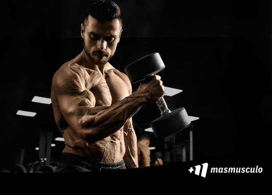 Ecdisterona: La clave natural para aumentar tu fuerza y crecimiento muscular