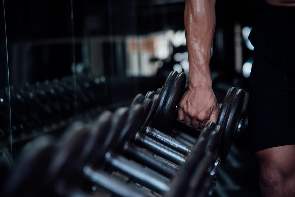Vascularización: ¿has recapitulado al respecto?
