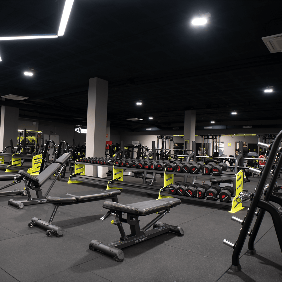 Fitness e estética corporal