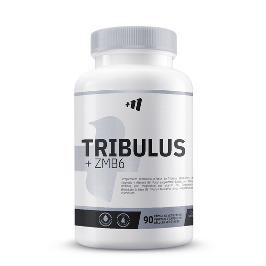 Tribulus + ZMB6 da marca Masmusculo Supplements em Extractos botânicos e minerais