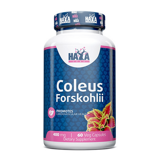 Coleus Forskohlii da marca Haya Labs em Outros queimadores