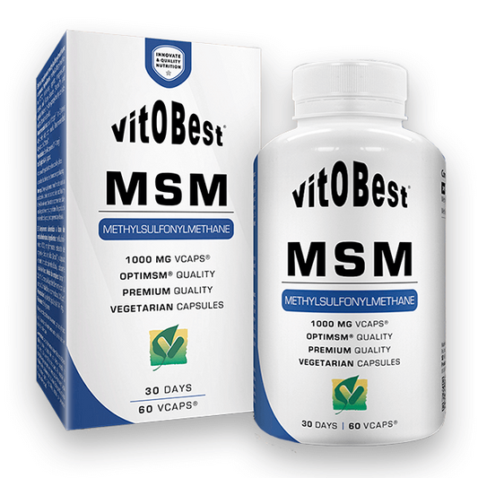 MSM 1000mg da marca VitoBest em Cuidados das articulações