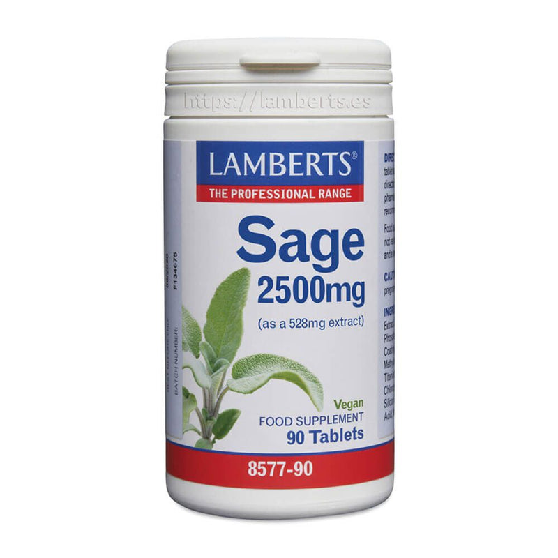 Salvia - Lamberts 0