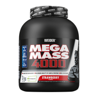 Mega Mass 4000