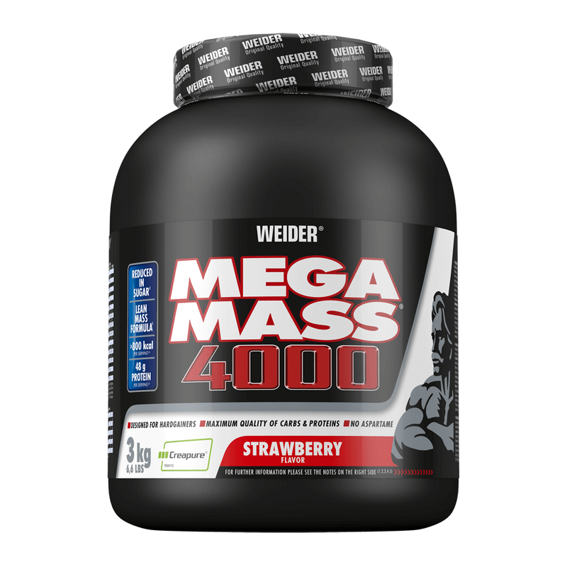 Mega Mass 4000 - Weider 2