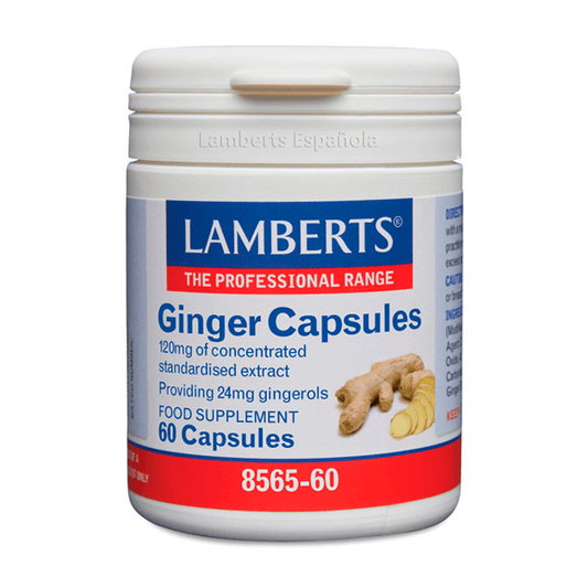Gengibre da marca Lamberts em Lamberts